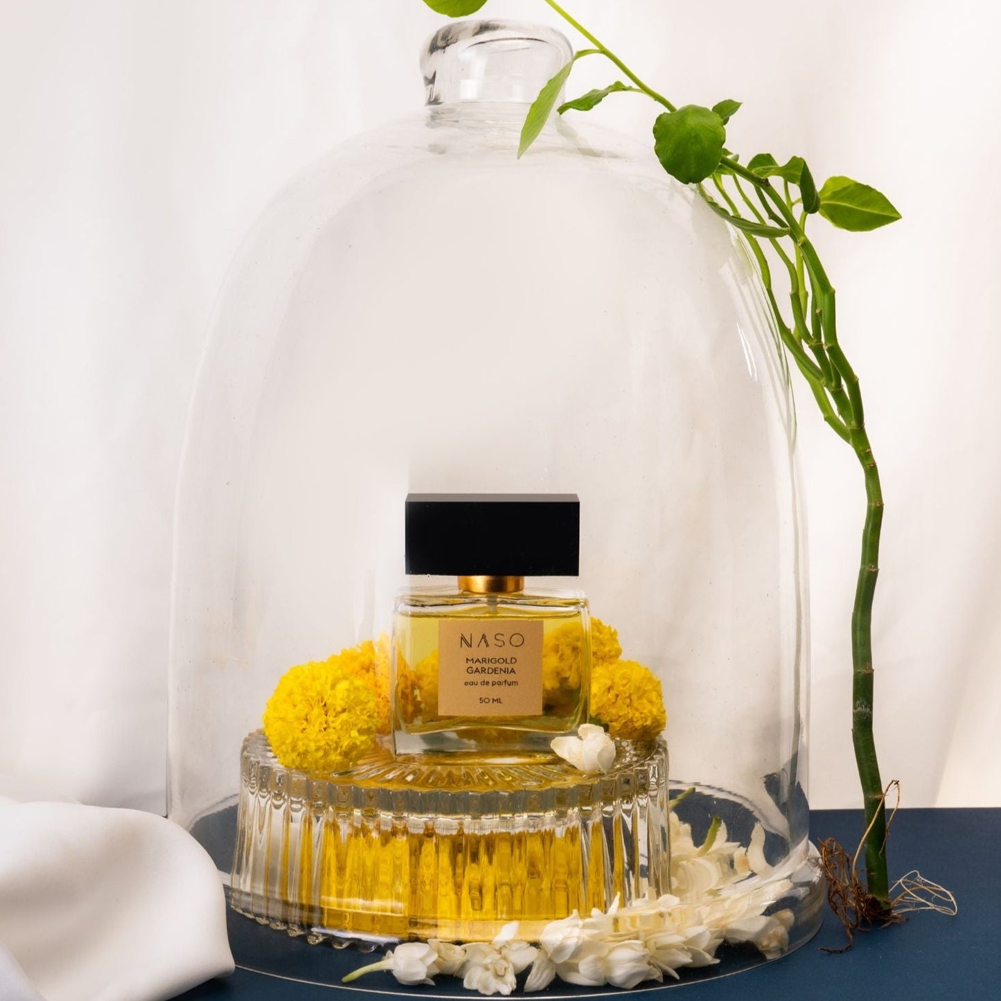 GARDENIA MARIGOLD
